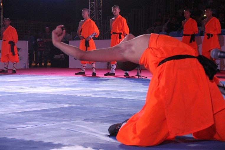 Martial Arts Festival